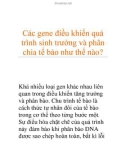 Các gene điều khiển quá trình sinh trưởng và phân chia tế bào như thế nào?