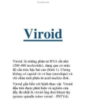 Viroid