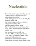 Nucleotide