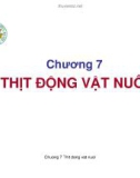 Chương 7: Thịt động vật nuôi