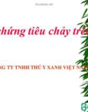 Bài giảng Hội chứng tiêu chảy trên heo