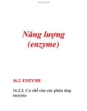 Năng lượng (enzyme)