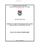 Luận văn Thạc sĩ Khoa học: Nghiên cứu biến tính khoáng Mica bằng ion sắt (III) và ứng dụng của nó