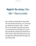 Ngành Sa sùng (Sâu đất = Sipunculida)