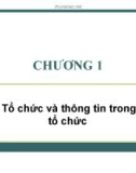 Bài giảng Hệ thống thông tin quản lý: Chương 1 - ThS. Thái Kim Phụng