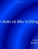 Bài giảng Chẩn đoán và điều trị động kinh - BS. Lê Văn Nam, BS. Ngô Minh Triết