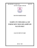 Luận án Tiến sĩ Y học: Nghiên cứu nồng độ IL-6, CRP ở bệnh nhân thoái hóa khớp gối nguyên phát