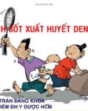 Bài giảng Bệnh sốt xuất huyết Dengue - ThS. BS. Trần Đăng Khoa