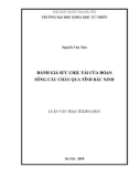 Luận văn Thạc sĩ Khoa học: Đánh giá sức chịu tải của đoạn sông Cầu chảy qua tỉnh Bắc Ninh