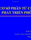 CƠ SỞ PHÂN TỬ CỦA PHÁT TRIỂN PHÔI