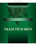 Trầm tích biển