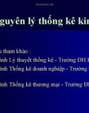 Nguyên lý thống kê kinh tế