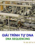 GIẢI TRÌNH TỰ DNA