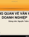 Bài giảng Tổng quan về Văn hóa doanh nghiệp - GV. Nguyễn Tuấn Anh