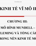 MÔ HÌNH MUNDELL – FLEMING VÀ TỔNG CẦU TRONG NỀN KINH TẾ MỞ