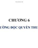 CHƯƠNG 6 THỊ TRƯỜNG ĐỘC QUYỀN THUẦN TÚY