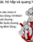 Đề tài; hô hấp và quang hợp