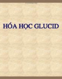 Đại cương hóa học Glucid