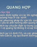 QUANG HỢP