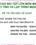 Báo cáo bài tập lớn môn Mạng máy tính và Lập trình mạng: Tìm hiểu về Soap