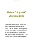 Ngành Trùng có lỗ (Foraminifera)