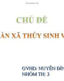 Quần xã sinh vật