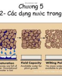 Bài giảng Khoa học đất - Chương 5: Các dạng nước trong đất