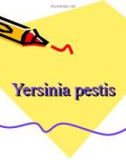 Yersinia pestis