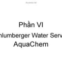 Phần VI : Schlumberger Water Service