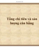 Tổng chi tiêu và sản lượng cân bằng