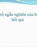 Yếu tố ngẫu nghiên của hệ số hồi qui