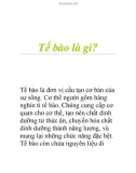 Tế bào là gì?