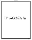 Các kỹ thuật trồng Ca Cao