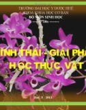 HÌNH THÁI - GIẢI PHẪU  H ỌC THỰC  VẬT - Thân cây