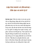 Lớp Hai mảnh vỏ (Bivalvia) Cấu tạo và sinh lý-2