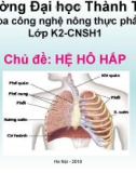 Báo cáo: hệ hô hấp