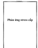 Phản ứng stress cấp