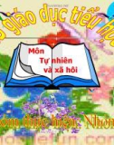 Giáo án điện tử Tự nhiên xã hội lớp 1: Bài 29