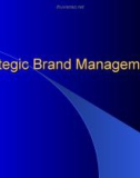 Strategic Brand Management