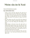 Nhóm sâu ăn lá Xoài