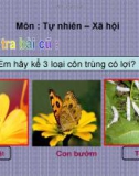 Giáo án điện tử môn Tự nhiên và xã hội lớp 3 - Bài: Tôm, Cua