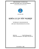 Khóa luận tốt nghiệp Quản trị kinh doanh: Một số giải pháp nhằm nâng cao hiệu quả sử dụng nguồn nhân lực tại công ty cổ phần xây dựng và dịch vụ thương mại Ngô Quyền