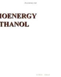 BIOENERGY ETHANOL