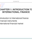 Tài chính quốc tế (International Finance)