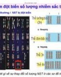 Giáo án điện tử Sinh học lớp 12: Bài 8