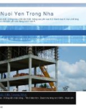 Nuôi yến trong nhà