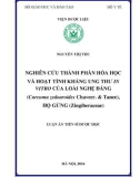 Luận án Tiến sĩ Dược học: Nghiên cứu thành phần hóa học và hoạt tính kháng ung thư in vitro của loài Nghệ đắng (Curcuma zedoaroides Chaveer. & Tanee), họ gừng (Zingiberaceae)