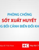 Phòng chống sốt xuất huyết trong bối cảnh biến đổi khí hậu