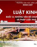 Bài giảng Luật kinh tế: Buổi 12 - ThS. Nguyễn Thị Khánh Ngân