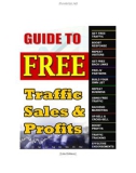 Traffic, Sales & Profits